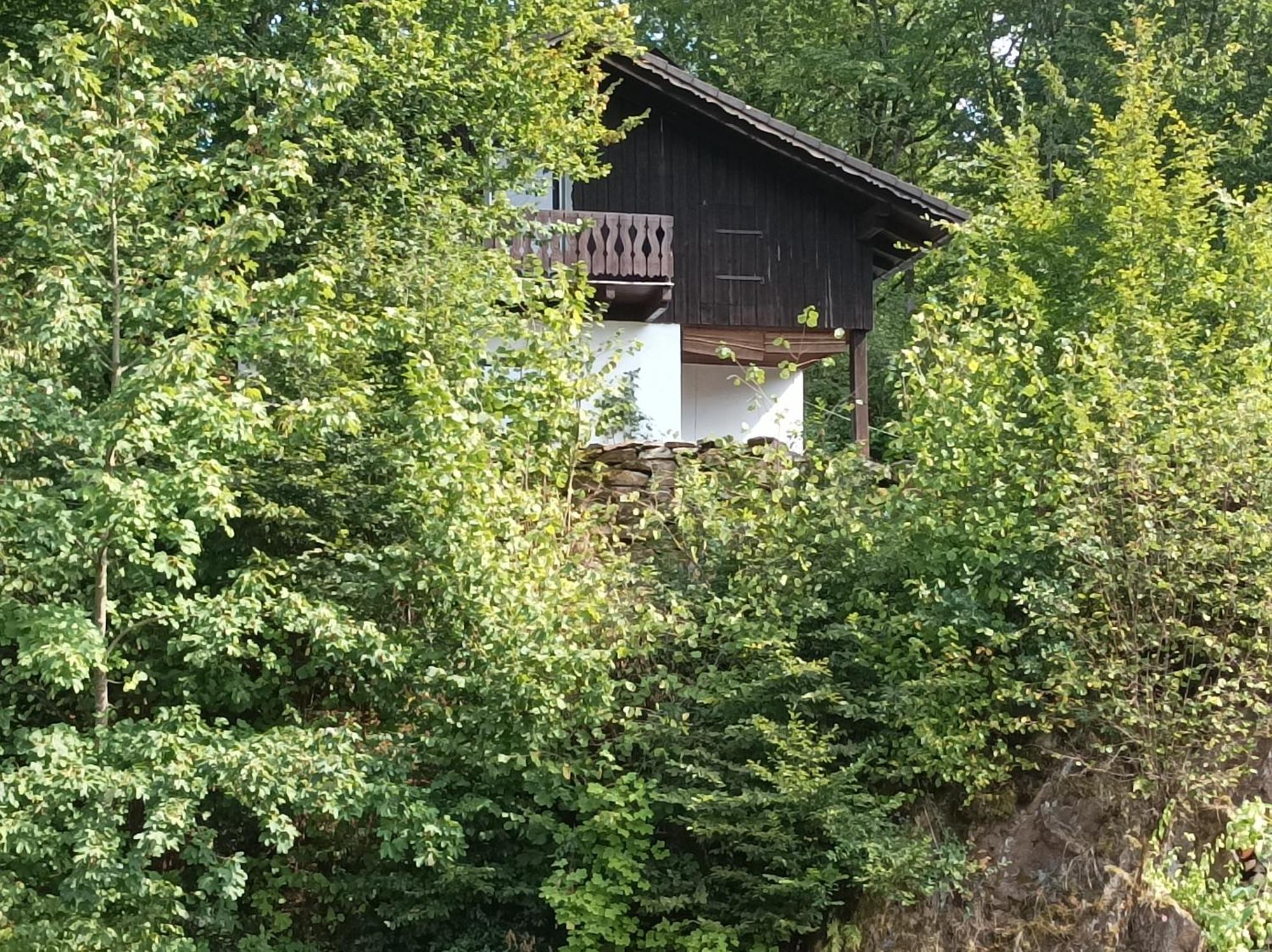 Burgberg Schoellnstein Iggensbach Bagian luar foto