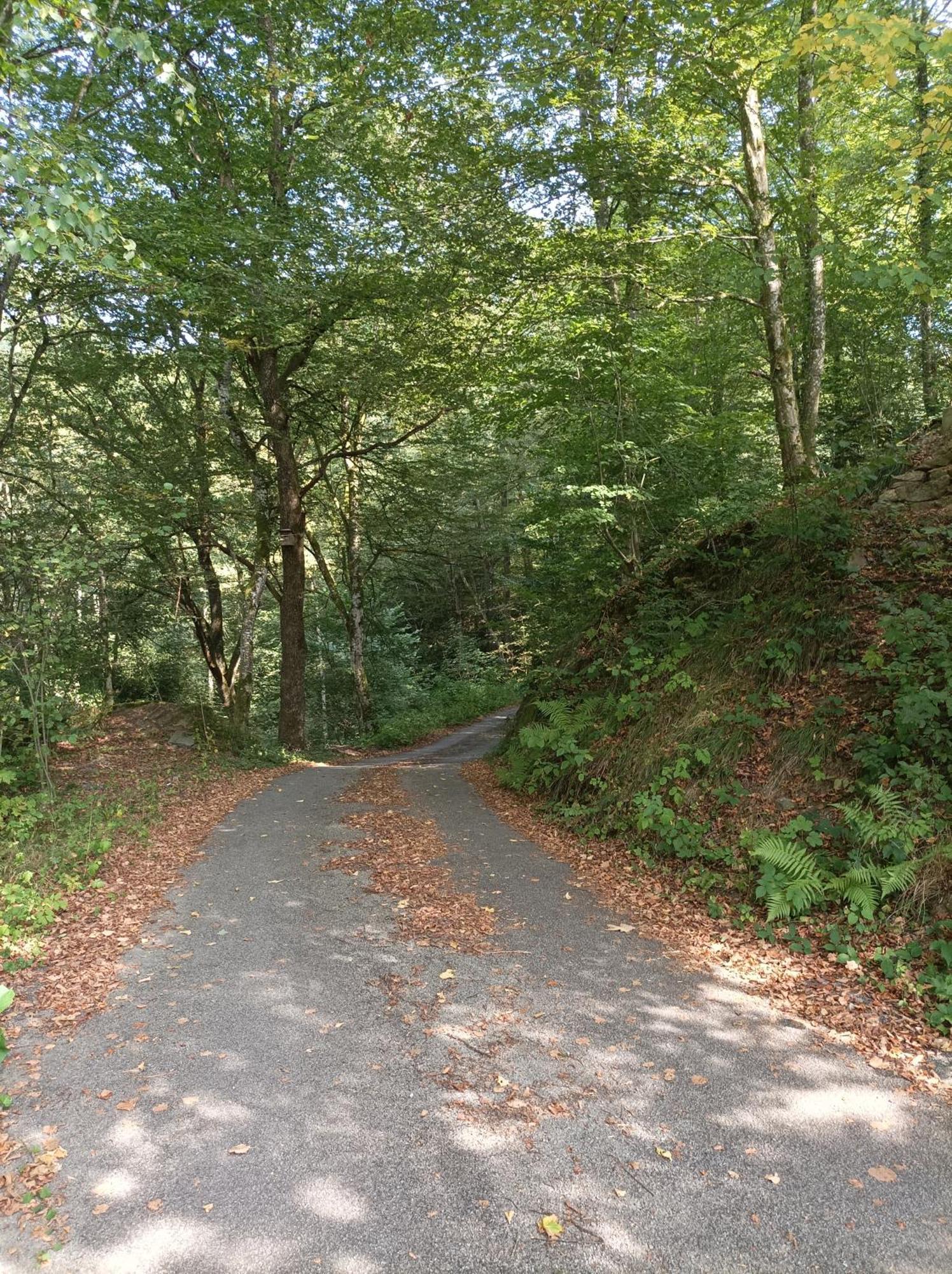 Burgberg Schoellnstein Iggensbach Bagian luar foto