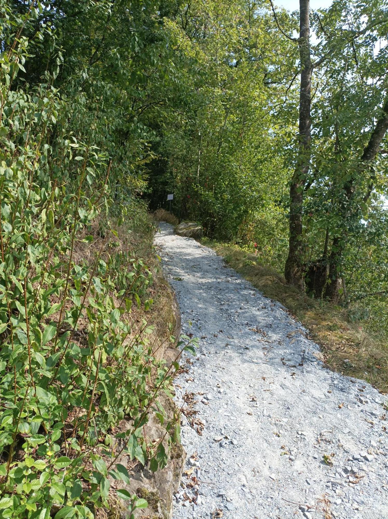 Burgberg Schoellnstein Iggensbach Bagian luar foto