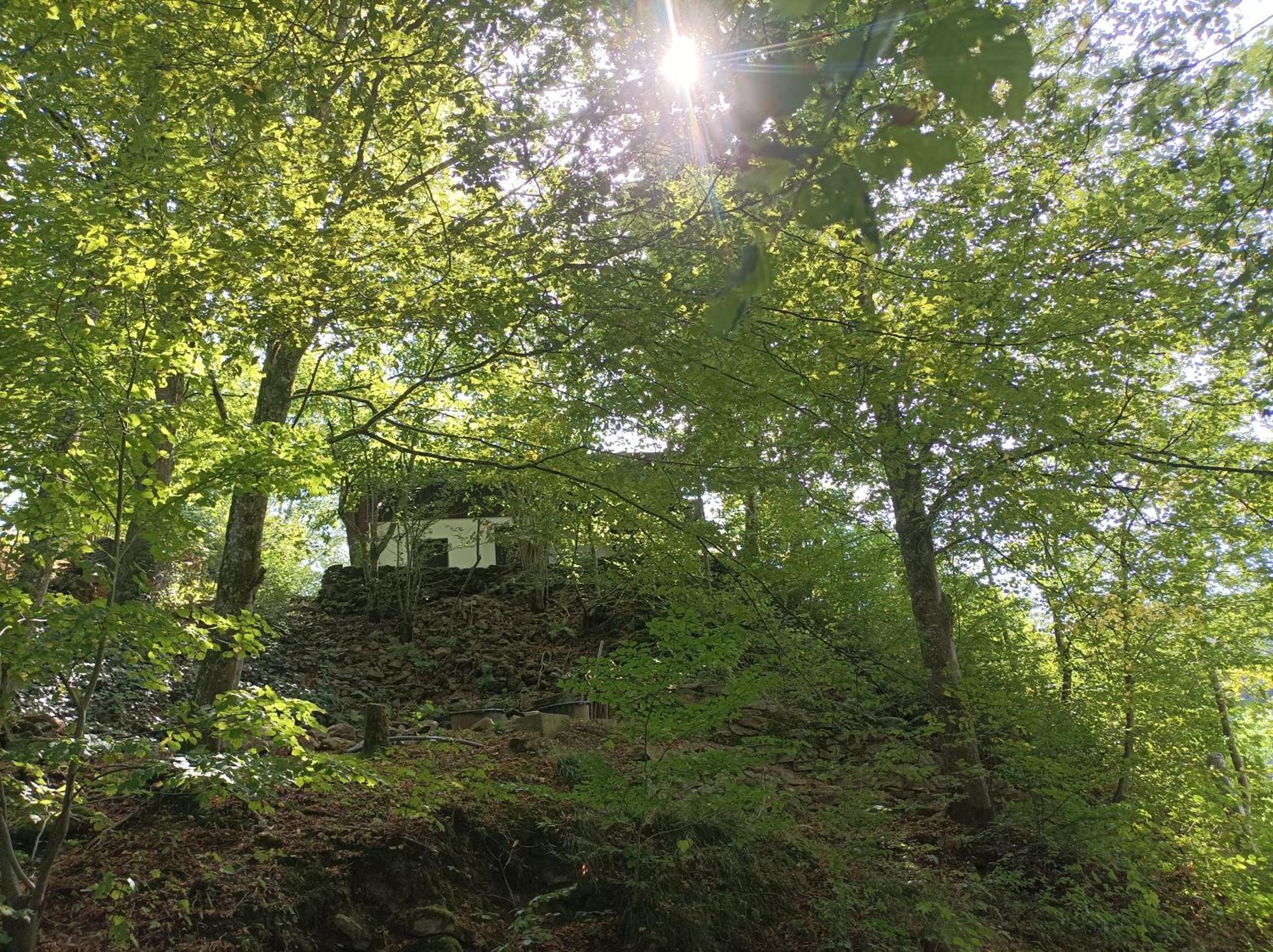 Burgberg Schoellnstein Iggensbach Bagian luar foto